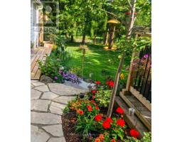 50 AMARANTH STREET W - 42