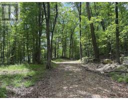 1074 LOWBANK DRIVE - 15
