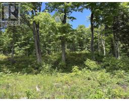 1074 LOWBANK DRIVE - 29