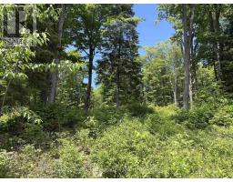 1074 LOWBANK DRIVE - 33