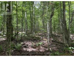 1074 LOWBANK DRIVE - 36