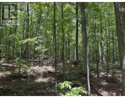 1074 LOWBANK DRIVE - 37