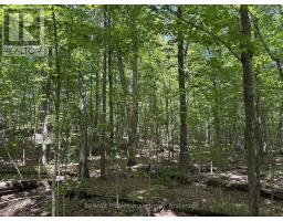 1074 LOWBANK DRIVE - 38