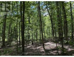 1074 LOWBANK DRIVE - 39