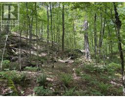 1074 LOWBANK DRIVE - 40