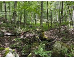1074 LOWBANK DRIVE - 41