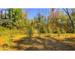 PT LT 3 LANESVILLE LINE - 36