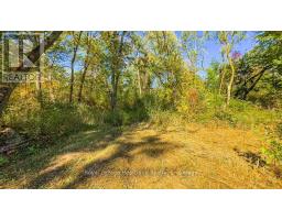 PT LT 3 LANESVILLE LINE - 37