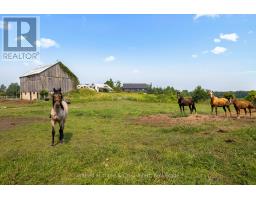 574461 SIDEROAD 40 - 2