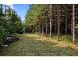 574461 SIDEROAD 40 - 34