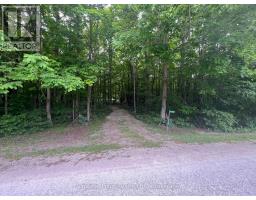 195860 5B CONCESSION - 20