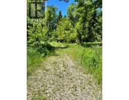 555463 MONO-AMARANTH TOWNLINE - 32