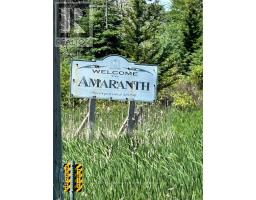 555463 MONO-AMARANTH TOWNLINE - 33