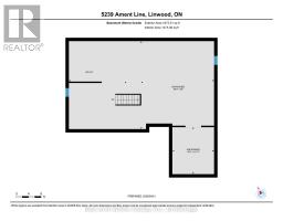 5239 AMENT LINE - 38