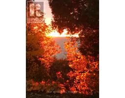71214 ANNE STREET - 47