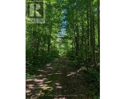35 SIDEROAD 10A - 37