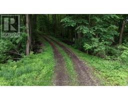 35 SIDEROAD 10A - 39