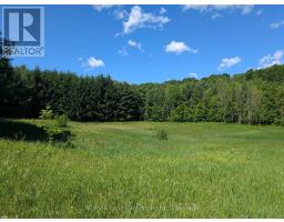 35 SIDEROAD 10A - 47