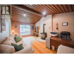 12 MURRAY STREET - 3