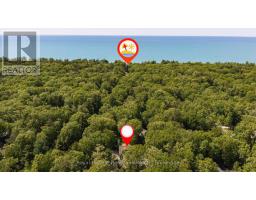 10308 BEACH O PINES ROAD - 4