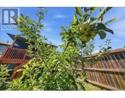 360 DOVER AVENUE - 35