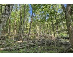 381612 CON 4 NDR ROAD - 11