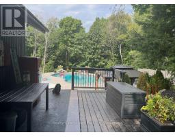 24 BIRCH GROVE DRIVE - 7