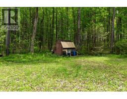 36718 RIVER ROAD - 14