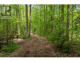 36718 RIVER ROAD - 5