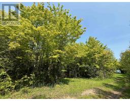502774 SIDEROAD 9 WGR - 3