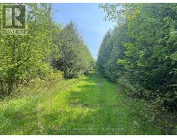 502774 SIDEROAD 9 WGR - 8