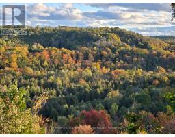 307251 HOCKLEY ROAD - 45