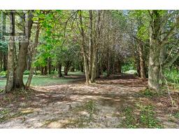 403123 GREY ROAD 4 - 42
