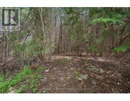 6592 FORESTELL ROAD - 50