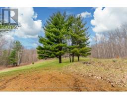 1093 REYNOLDS ROAD - 41