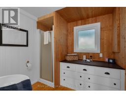 1433 SOUTH HORN LK ROAD - 26