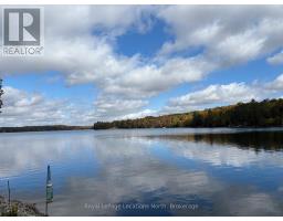 1433 SOUTH HORN LK ROAD - 33