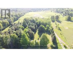 395551 2 CONCESSION - 12