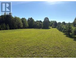 395551 2 CONCESSION - 5