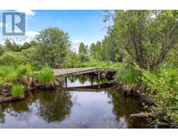 541503 CONCESSION 14 NDR - 38
