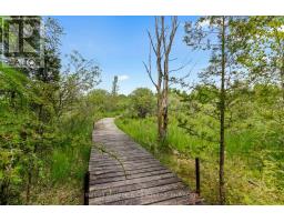 541503 CONCESSION 14 NDR - 39