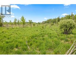 541503 CONCESSION 14 NDR - 42
