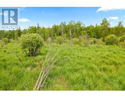 541503 CONCESSION 14 NDR - 43