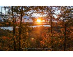 1497 FOX POINT ROAD - 12