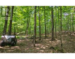 1497 FOX POINT ROAD - 36