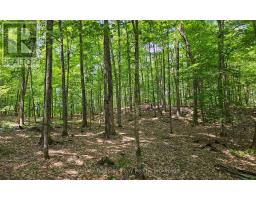 1497 FOX POINT ROAD - 37