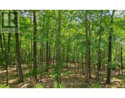 1497 FOX POINT ROAD - 38