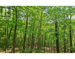 1497 FOX POINT ROAD - 41