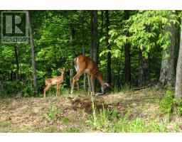 1497 FOX POINT ROAD - 43