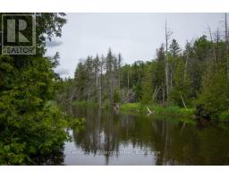 504354 GREY ROAD 12 ROAD - 20